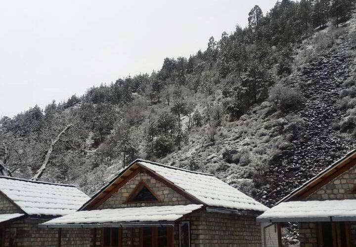 White Stone Cottages, Kullu 4